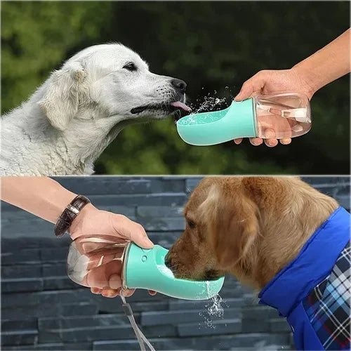 TERMO 2 EN 1 PARA MASCOTA